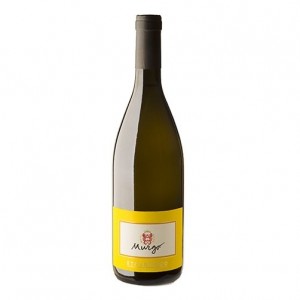 ETNA BIANCO Doc 2022 - MURGO